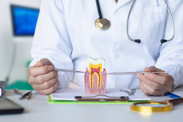 Best Emergency Broken Tooth Repair in Newton Falls, OH